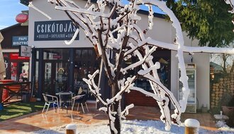 Csikótojás - Breakfast, ice cream parlor, café